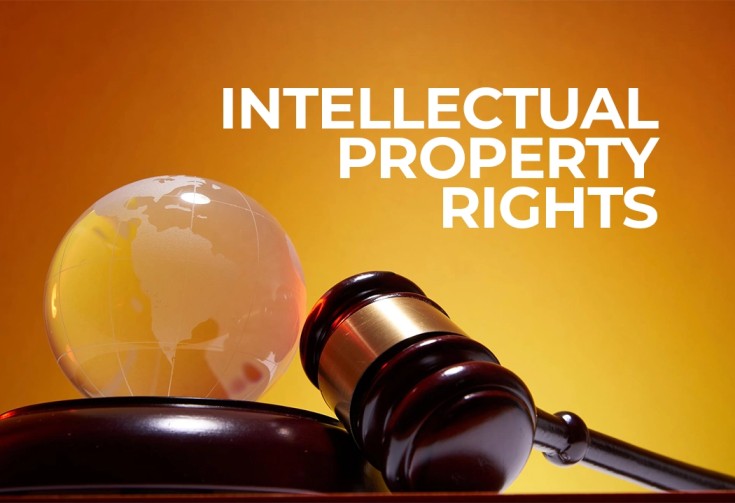 Intellectual property right La